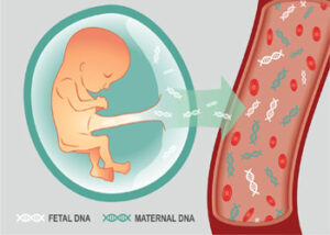 آزمایش نیفتی