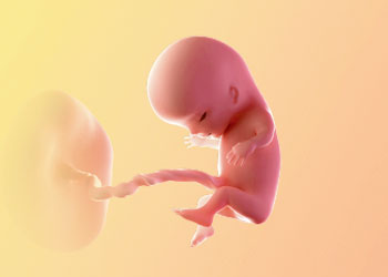 هفته یازدهم بارداری