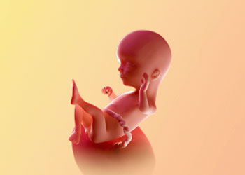 هفته شانزدهم بارداری