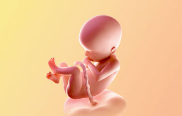 هفته-22-بارداری هفته بیست و دوم بارداری