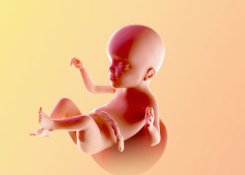 هفته بیست و سوم بارداری