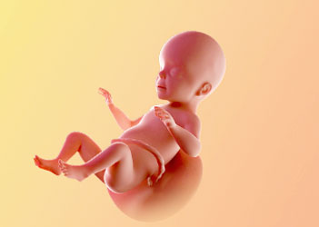 هفته بیست و ششم بارداری