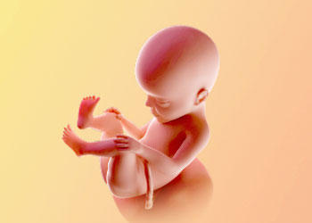 هفته بیست و هفتم بارداری