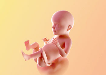 هفته بیست و هشتم بارداری