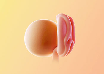 هفته-3-بارداری هفته سوم بارداری