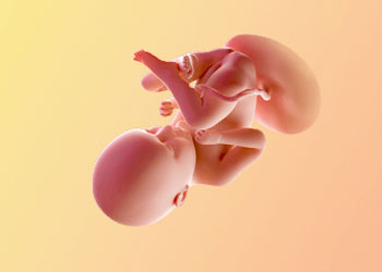 هفته-35-بارداری هفته سی و پنجم بارداری