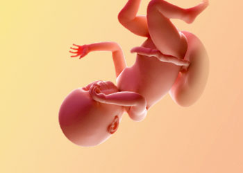 هفته-39-بارداری هفته سی و نهم بارداری