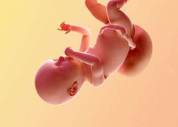 هفته-40-بارداری هفته چهلم بارداری