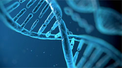 ناهنجاریهای کروموزومی جنین