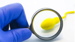 راههای افزایش حجم منی